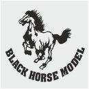  BLACK HORSE model airplanes are distributed by...