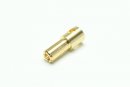 Gold Bullet Connector male 5.5mm (10 pcs.)